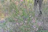 07ap29271s.jpg