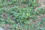 07ap29275s.jpg