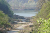 07ap29281s.jpg