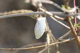 07ap29314s.jpg