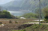 07ap29317s.jpg