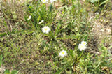 07ap29329s.jpg