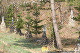 07ap29402s.jpg