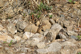07ap29403s.jpg