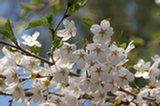 07ap29430s.jpg