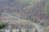 07ap30469s.jpg