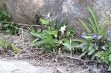 07ap30478s.jpg