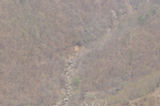 07ap30494s.jpg