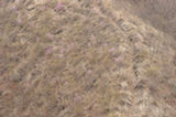 07ap30505s.jpg