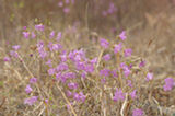 07ap30517s.jpg