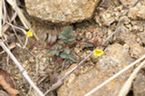 07ap30526s.jpg