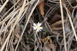 07ap30528s.jpg