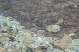 07ap30530s.jpg