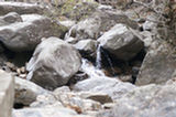 07ap30532s.jpg