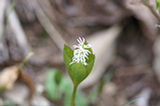 07ap30534s.jpg
