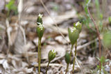 07ap30536s.jpg