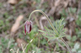 07ap30542s.jpg