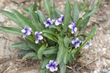 07ap30544s.jpg