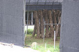 07ap30546s.jpg