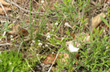 07ap30572s.jpg