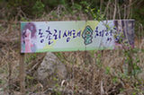 07ap30583s.jpg