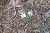 07ap30602s.jpg