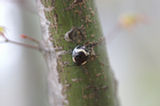 07ap30611s.jpg
