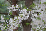 07ap30614s.jpg