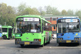 07my02748s.jpg