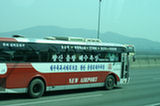 07my02855s.jpg