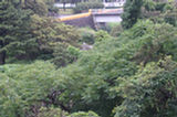 07jl13059s.jpg