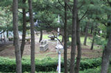 07jl14031s.jpg