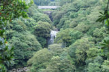 07jl14137s.jpg