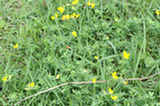 07jl14213s.jpg