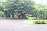 07jl14260s.jpg