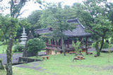 07jl14267s.jpg