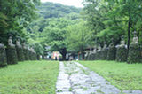 07jl14288s.jpg