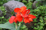 07jl14324s.jpg
