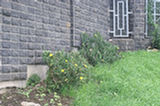 07jl14366s.jpg