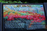 07jl15013s.jpg