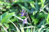 07jl15033s.jpg
