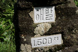 07jl15040s.jpg