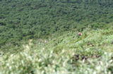 07jl15045s.jpg