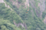 07jl15069s.jpg