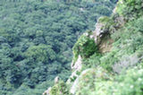 07jl15084s.jpg