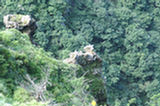 07jl15088s.jpg