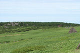 07jl15125s.jpg