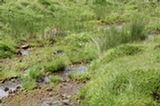07jl15134s.jpg