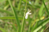 07jl15263s.jpg