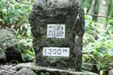 07jl15324s.jpg